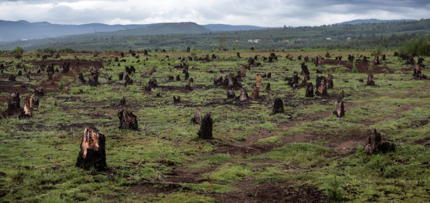 Déforestation à Madagascar.